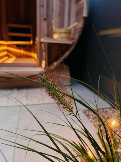 Charley'S Wellness Suite Westkapelle Exterior foto